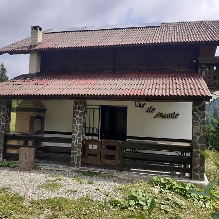 La Cabana Băile Borşa エクステリア 写真