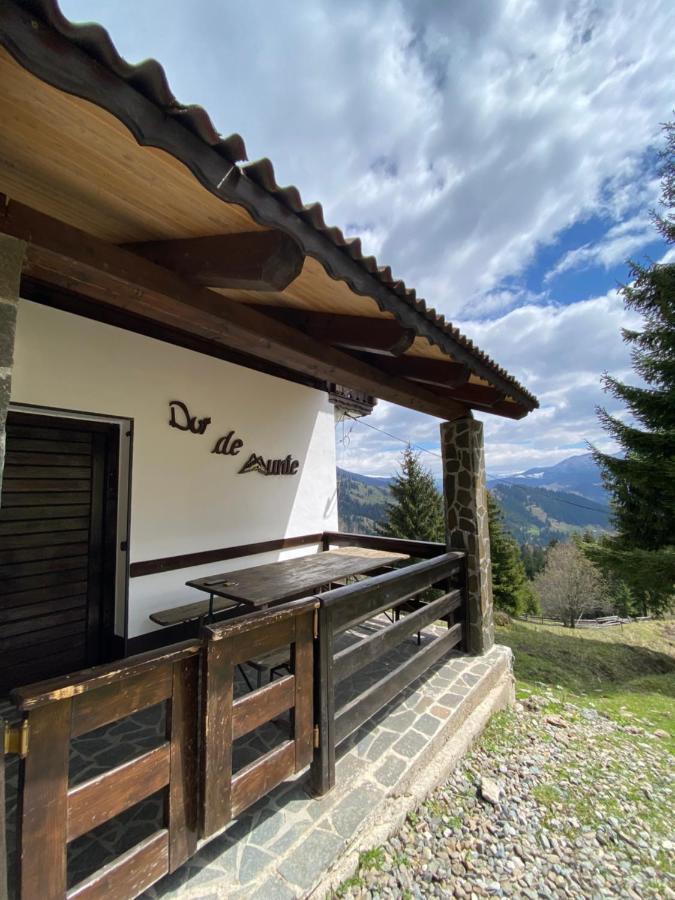 La Cabana Băile Borşa エクステリア 写真