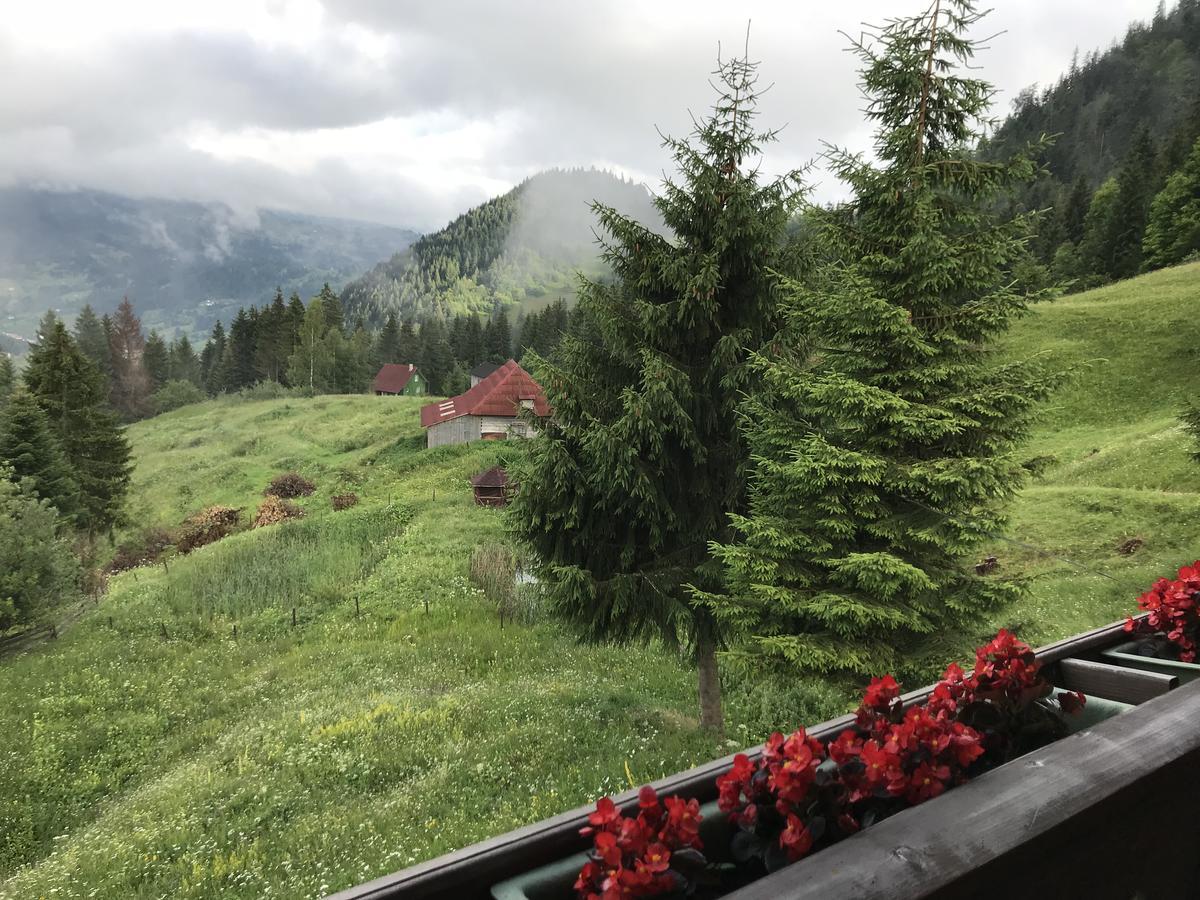 La Cabana Băile Borşa エクステリア 写真