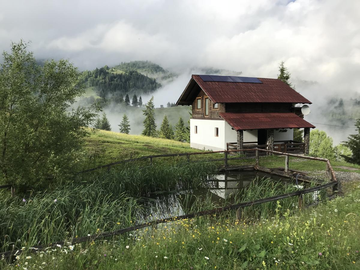 La Cabana Băile Borşa エクステリア 写真