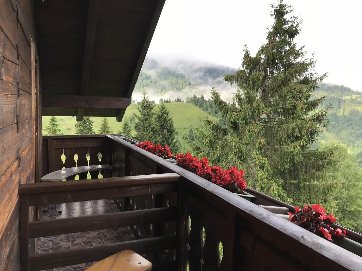 La Cabana Băile Borşa エクステリア 写真